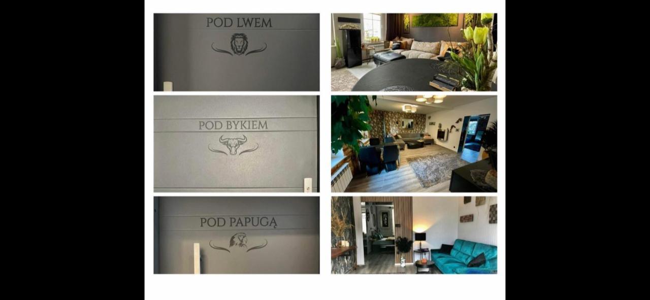 Apartament Pod Lwem Kościerzyna Zewnętrze zdjęcie